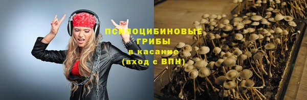 спиды Алексин