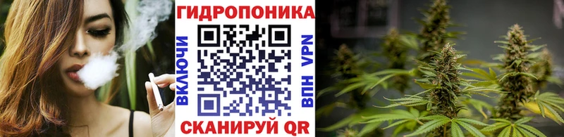 Бошки марихуана OG Kush  продажа наркотиков  Воткинск 